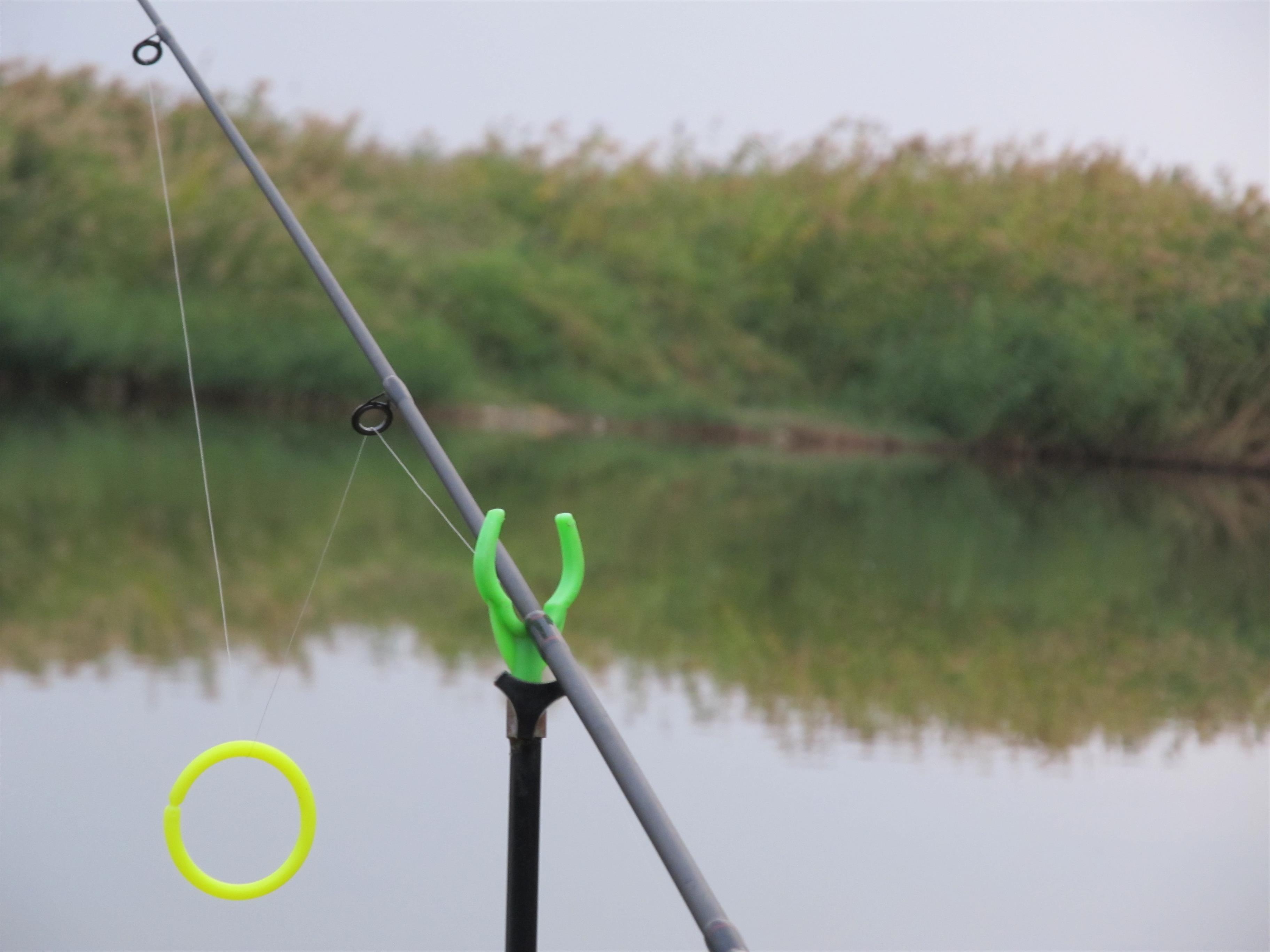 Calieni - IMG_1979.JPG